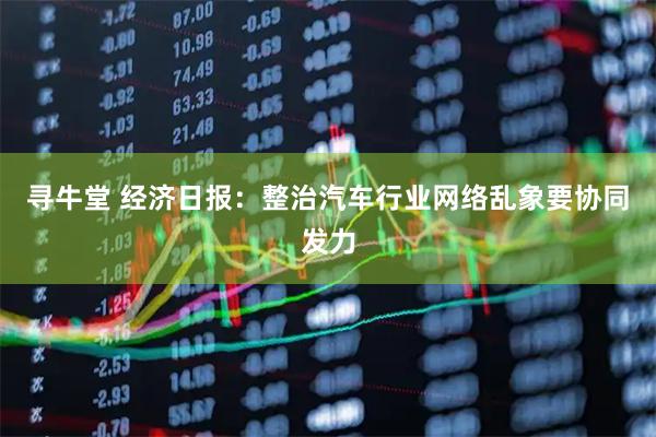 寻牛堂 经济日报：整治汽车行业网络乱象要协同发力