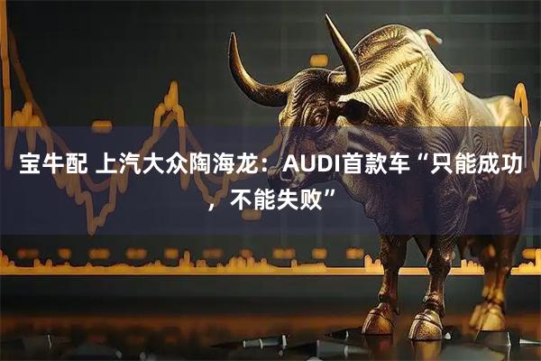 宝牛配 上汽大众陶海龙：AUDI首款车“只能成功，不能失败”