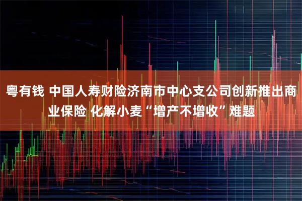 粤有钱 中国人寿财险济南市中心支公司创新推出商业保险 化解小麦“增产不增收”难题