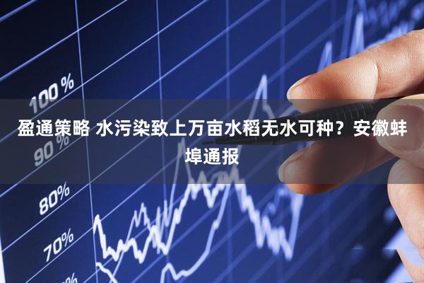 盈通策略 水污染致上万亩水稻无水可种？安徽蚌埠通报