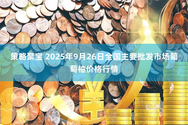 策略聚宝 2025年9月26日全国主要批发市场葡萄柚价格行情