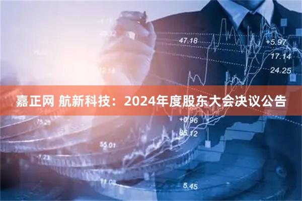 嘉正网 航新科技：2024年度股东大会决议公告