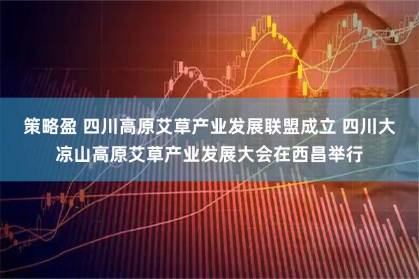 策略盈 四川高原艾草产业发展联盟成立 四川大凉山高原艾草产业发展大会在西昌举行