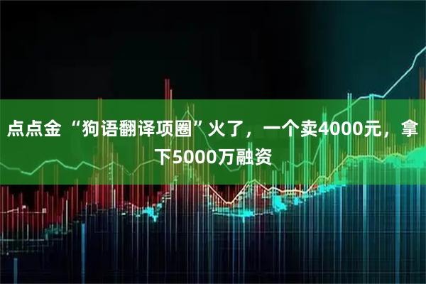 点点金 “狗语翻译项圈”火了,一个卖4000元,拿下5000万融资