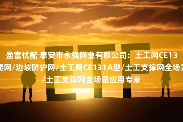 盈富忧配 泰安市永强网业有限公司：土工网CE131/植物攀爬网/边坡防护网/土工网CE131A型/土工支撑网全场景应用专家