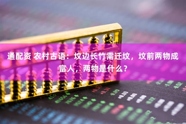 通配资 农村古语：坟边长竹需迁坟，坟前两物成富人，两物是什么？